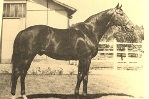 right royal (fr) 1958