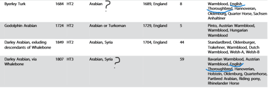 A table displaying information about various horse breeds, including their names, origins, and types, such as Arabian and Thoroughbred.