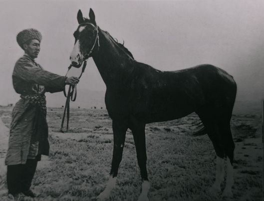 A man dressed in traditional attire holds a horse by its reins in a grassy landscape, with mountains in the background.