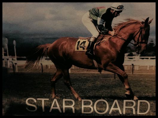 A horse named 'Star Board' racing with a jockey in colorful attire, captured in motion against a blurred background.